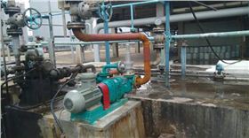 羅德污泥提升轉子泵 羅德污泥提升轉子泵