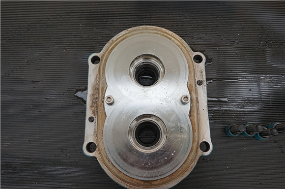 羅德凸輪轉(zhuǎn)子泵泵蓋20170109 羅德凸輪轉(zhuǎn)子泵泵蓋20170109