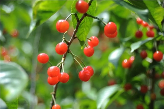 640.webp.jpg 640.webp.jpg