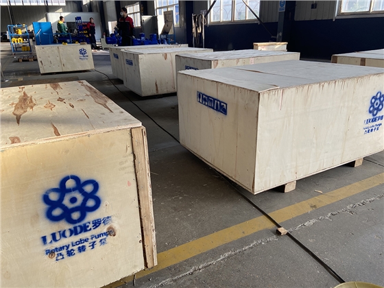 羅德泵圖.jpg 羅德泵圖.jpg