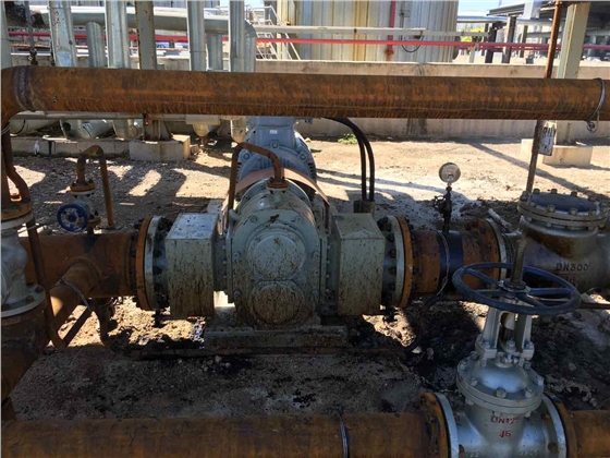 超稠原油輸送泵 超稠原油輸送泵