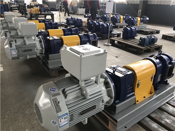 轉子泵轉速 轉子泵轉速