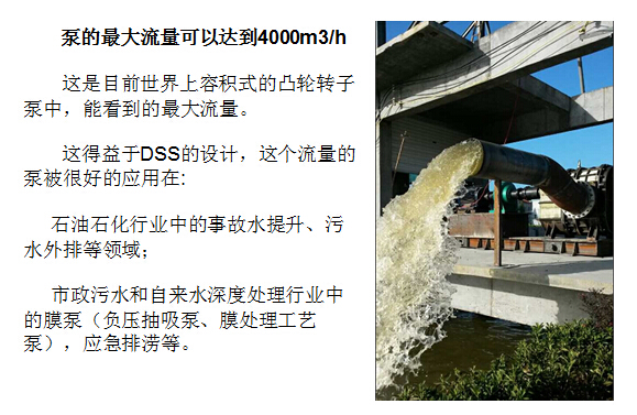 凸輪轉子泵 凸輪轉子泵