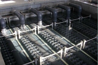 膜池.jpg 膜池.jpg