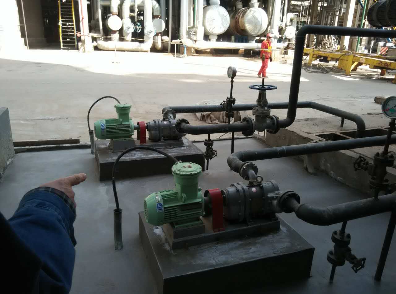 中石油華北石化使用的羅德RDB12型凸輪轉子泵