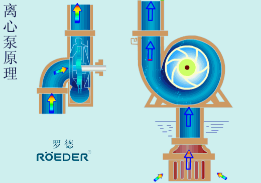 離心泵工作原理