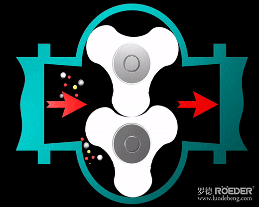 轉子泵工作原理