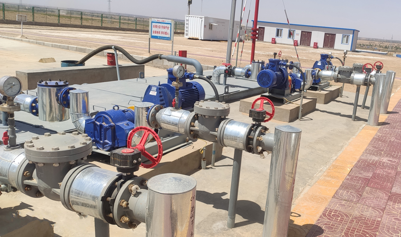 污泥轉子泵 污泥轉子泵