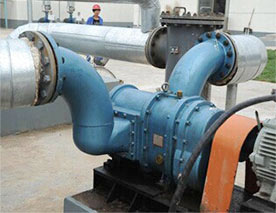 河南凸輪轉子泵-地下污油提升泵 河南凸輪轉子泵-地下污油提升泵